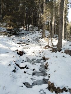 Foto von Petra Macher 1 entlang der Tour