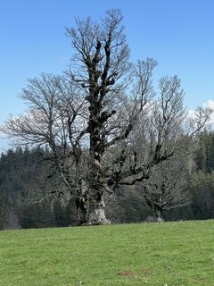 Foto von Ursula Buri entlang der Tour