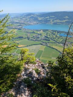 Foto von SFK entlang der Tour
