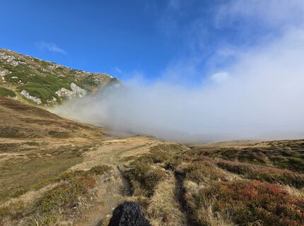 Photo de MRDL le long du parcours