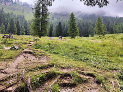 Foto von Rita Lubbers entlang der Tour
