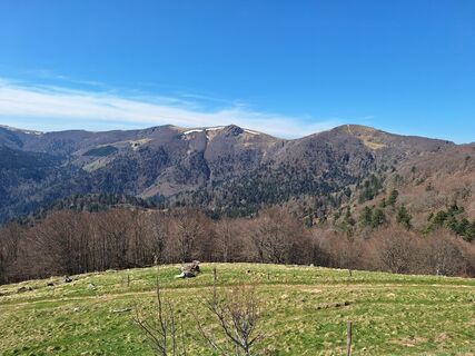 Foto von Katharina entlang der Tour