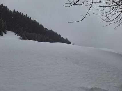 Foto de Katharina a lo largo del recorrido