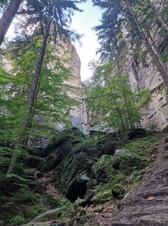 Fotografie de la Dima de-a lungul turului