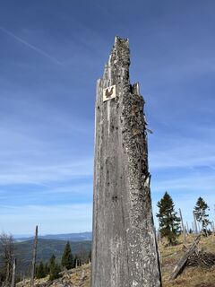 Foto von Daniel Groß entlang der Tour