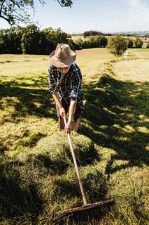 Die angrenzenden Wiesen liefern eine reiche Ernte