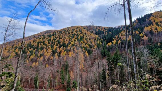 Фото с сайта EP87 во время экскурсии
