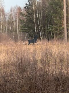 Photo de Hell-mood le long du parcours