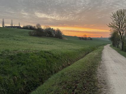 Fotografia z Schaali na trase