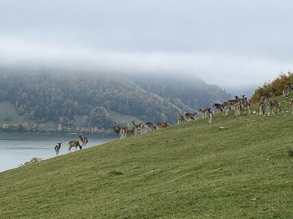 Photo de Thomas Riffel le long du parcours