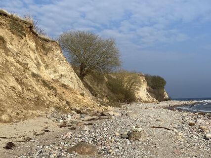 Photo de Wolf Ese le long du parcours