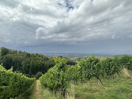 Foto von Sandra Van Beek-Bontkes entlang der Tour