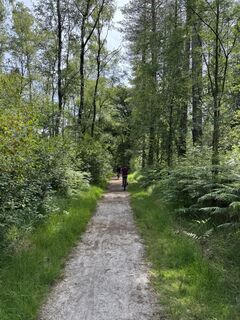Fotografija s spletne strani Uwe Urban na poti