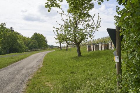 Impressionen aus dem Autal | Obersulm | HeilbronnerLand