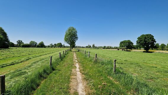 Fotografija s spletne strani Gerrit van der Linde na poti