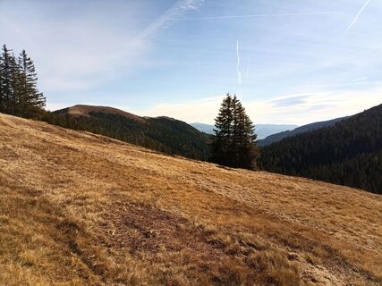 Fotografie z Harald Bäck na trase