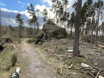 Foto von Kai Hückstädt entlang der Tour