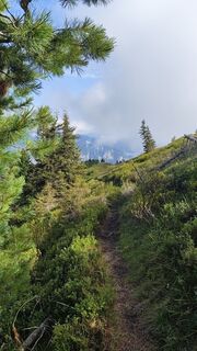 Photo de Bergtroll le long du parcours