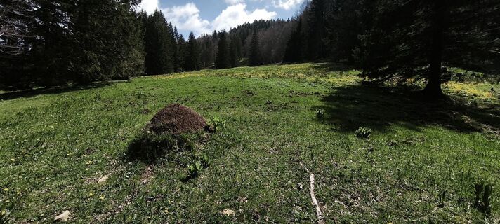 Foto von Ralf Schwaninger entlang der Tour