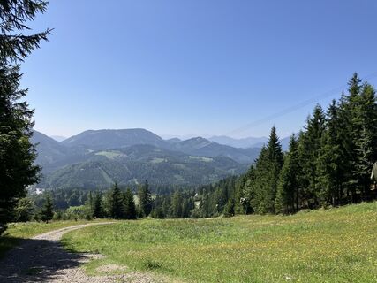 Foto de Renate Renner a lo largo del recorrido