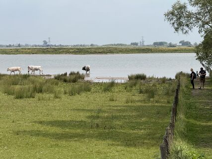 Fotografie z martinpronk na trase