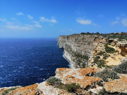 Photo de Christina Turnwald le long du parcours