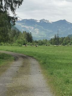 Zdjęcie z Waldläufer wzdłuż trasy