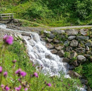 Wandern & Biken – Natur erleben und Ruhe genießen