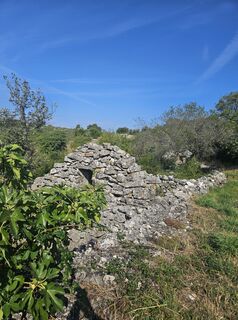 Foto von Schienerbue entlang der Tour