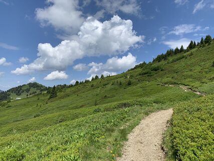 Foto von Koen De Wit entlang der Tour