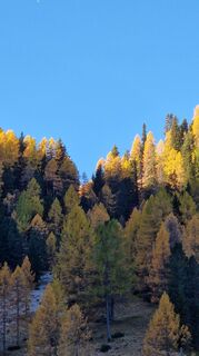 Foto von Karin Möller entlang der Tour