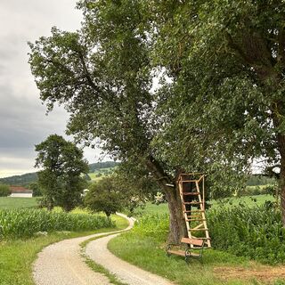 Am Fröschlauweg