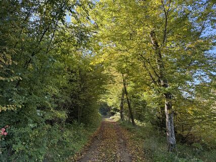 Foto de Norbert Herbig a lo largo del recorrido