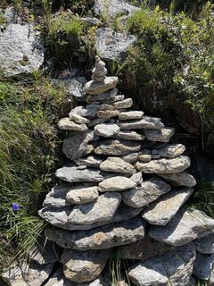 Fotografia z filbro na trase