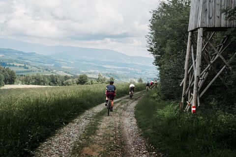 Gravelbiker_Forstweg_Oststeiermark