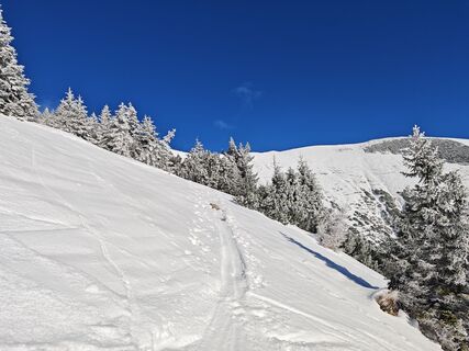 Fotografija s spletne strani gp1964 na poti