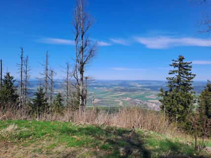 Foto von Wanderbursche66 entlang der Tour