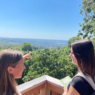 Streuobstrunde mit Hearonymus Tourguide in der Oststeiermark, RETTER Pöllauberg