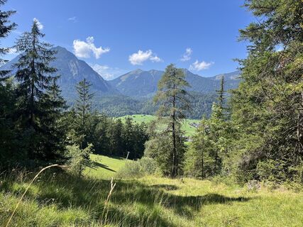 Foto de Thomas Schlüter 3 a lo largo del recorrido