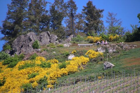 Zdjęcie z Günter Kleutsch wzdłuż trasy