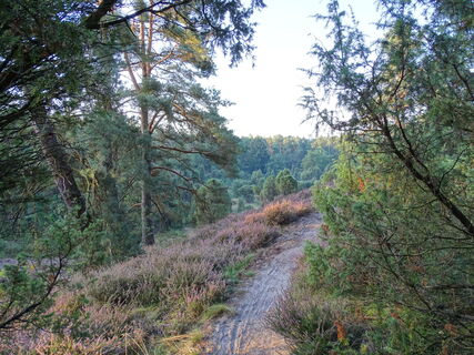 borsteler-kuhlen