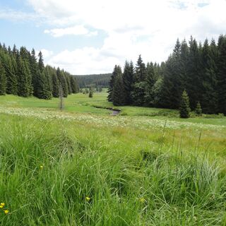 Zemljevid