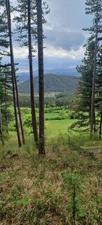 Foto fra Ewald Reil 1 underveis på turen