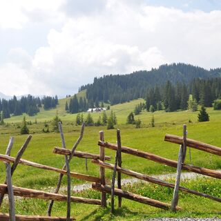 Die Hochebene Prodriet