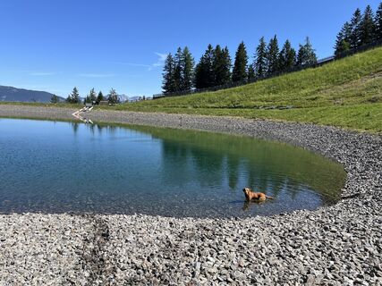 Fotografija s spletne strani Jasmin na poti