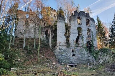 Burgruine Waxenegg_Anger_Oststeiermark
