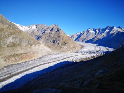 Fotografija s spletne strani froehlth na poti