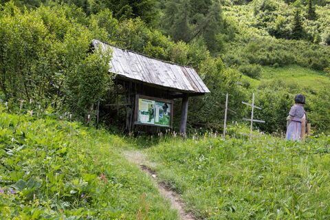 Themensteig Fisser Gonde
