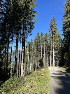 Photo de MBL le long du parcours