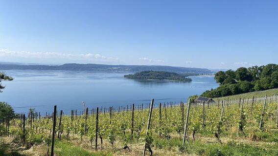 Fotografie z Michael Jung na trase